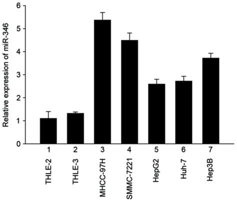 Mirna‑346 Promotes Proliferation Migration And Invasion In Liver Cancer