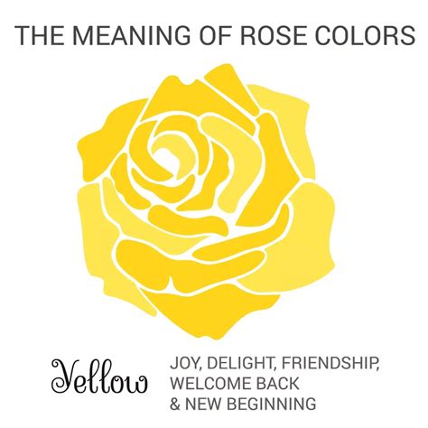 22 Rose Color Meanings What Does Each Shade Symbolize Artofit