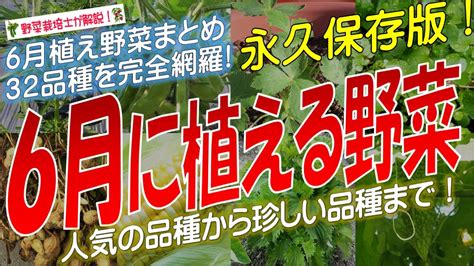 6月に植える野菜（32品種）永久保存版 Youtube