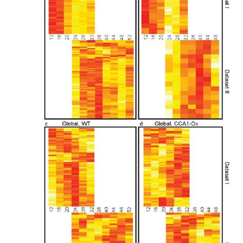 Rhythmic Or Changing Phosphatases JTK CYCLE P Values When Allowing