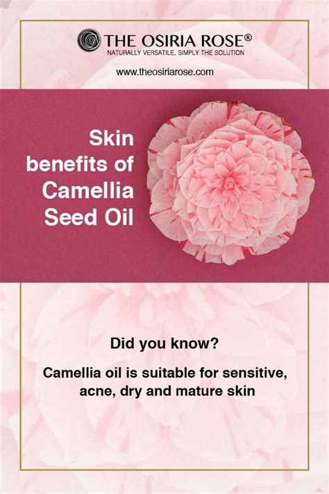 Camellia Seed Oil Skin Benefits Skin Benefits Skin Care Benefits