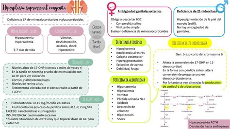 Hiperplasia Suprarrenal Cong Nita Zoar Farf N Udocz