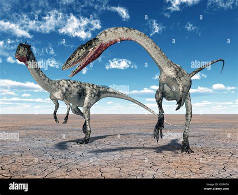 Coelophysis Dinosaurio Fotografías E Imágenes De Alta Resolución Alamy