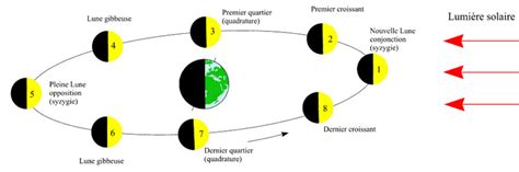 Comprendre Concepts Fondamentaux Phases De La Lune