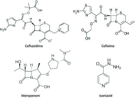 Schematic Structures Of Ceftazidime Cefixime Meropenem And Isoniazid Download Scientific