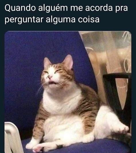 19 Memes Engraçados Para Alegrar A Sua Semana