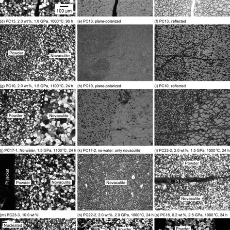 Light Photomicrographs Of The Samples After Experiments Photos Taken