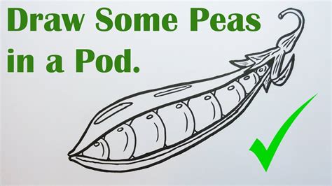 How to Draw Fresh Peas in a Pod - VERY EASY - STEP BY STEP - YouTube