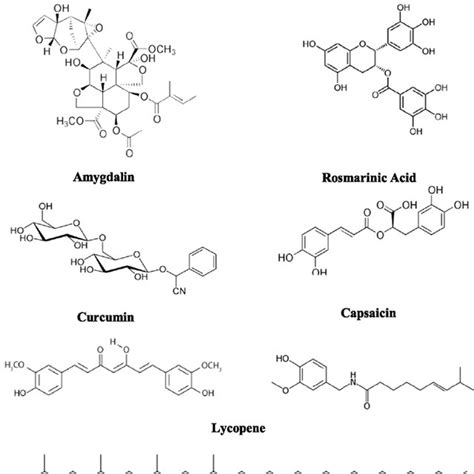 Structural examples of phytochemicals with known or suspected medicinal ...