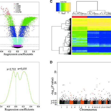 David Functional Enrichment Analysis Results Annotation Cluster 1