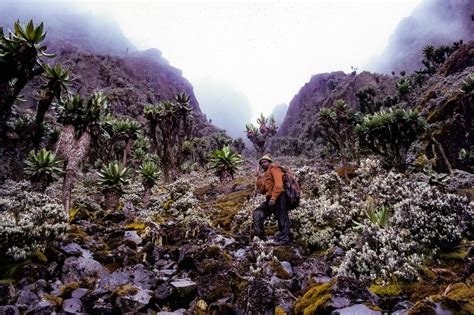 Uganda, Mountains of the Moon, Guide, 1984 : Jeff Shea