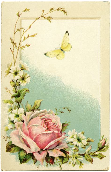 free vintage postcard, pink rose clipart, old postcard with flowers ...