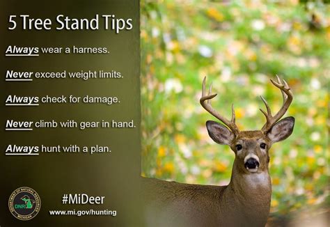 Great tips to keep it safe while enjoying archery deer season. Michigan ...