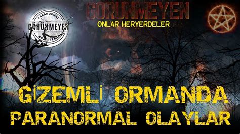 GİZEMLİ ORMANDA PARANORMAL OLAYLAR YouTube