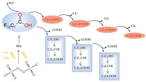 Molecules Free Full Text Research Updates On The Mechanism And