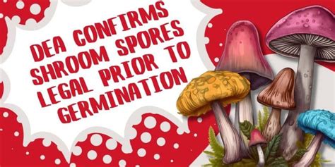 Mind-Blowing News: Psychedelic Mushroom Spores Now Federally Legal | TNMNews.com