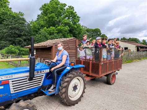 Boerderijkamp Antwerpen Paasvakantie Juvigo