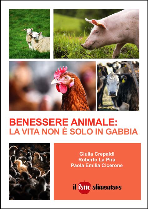 Benessere Animale Lallevamento Biologico è Il Più Rispettoso