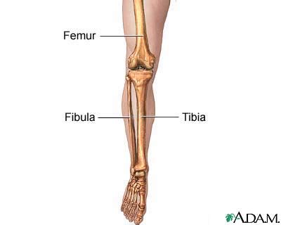 Fibula The Disabled List