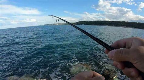 Pesce Serra A Spinning In Topwater YouTube