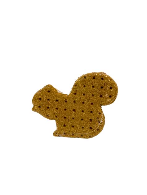 Sq Dog Cookie