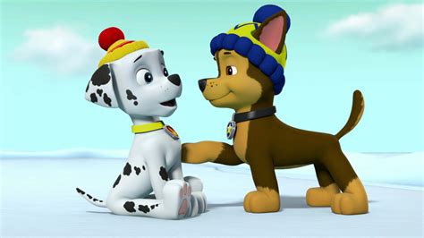 Watch Paw Patrol Season 5 Episode 18 Paw Patrol Pups Save The Snowshoeing Goodways Pups Save