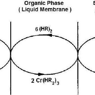 Schematic Representation Of Cr III Facilitated Transport With D2EHPA