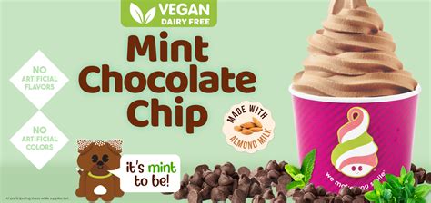 Vegan Mint Chocolate Chip Made With Almond Milk Frozen Yogurt Yogurt