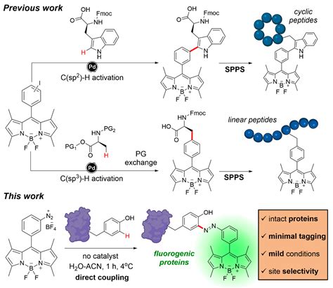 Nonperturbative Fluorogenic Labeling Of Immunophilins Enables The Wash