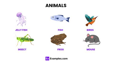 Organism, Definition, Examples, Structure, Types