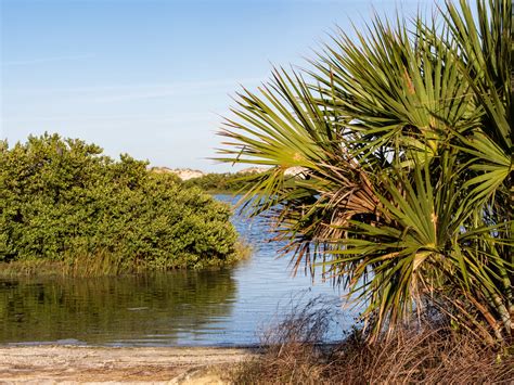 Activités à faire en famille dans l État de Floride Recette Américaine