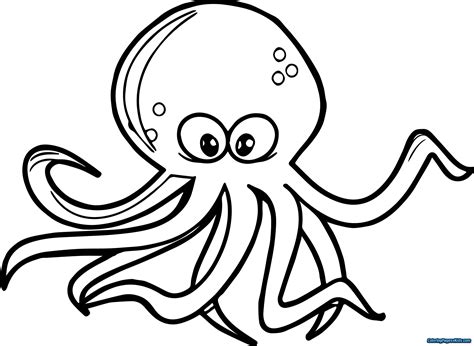 octopus drawing easy 5