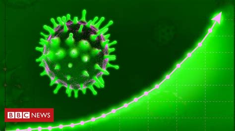Evolução Do Coronavírus Por Que Causador Da Covid 19 Se Comporta Como
