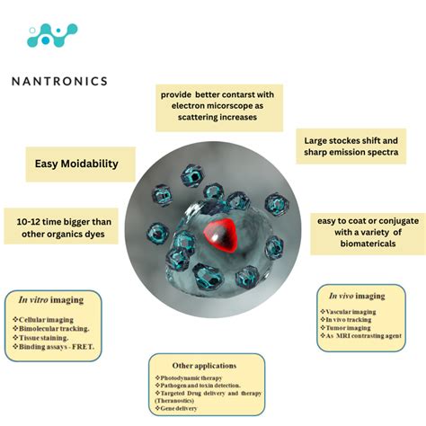 What are the uses of quantum dots in medicine?