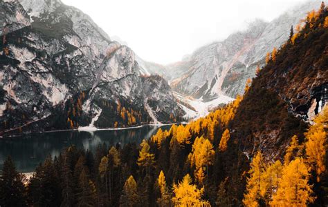 Wonderful Mountains in Fall Colors | Free Nature Image by picjumbo