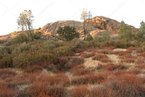 Pinnacles National Monument Es Un Rea Monta Osa Protegida Ubicada Al