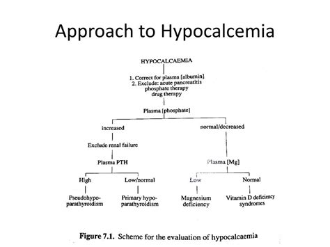 Ppt Hypocalcemia Powerpoint Presentation Free Download Id 5701553