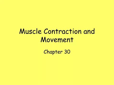 Ppt Muscle Contraction And Movement Powerpoint Presentation Free