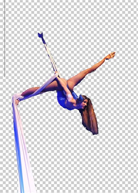 Aerial Dance Aerial Silk Acrobatics Circus Drawing Png Clipart