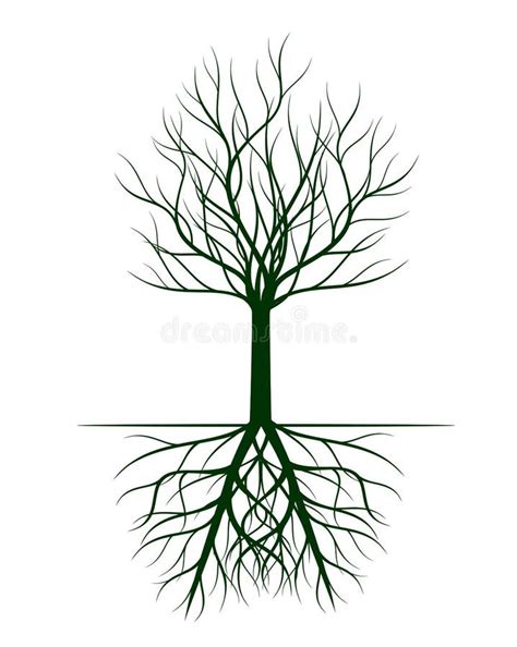 Naked Tree Vector Outline Illustration Plant In Garden Stock Vector