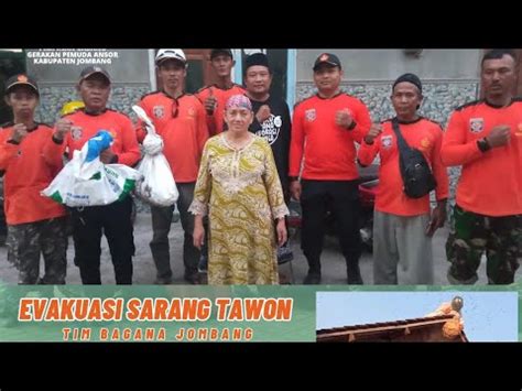 Evakuasi Sarang Tawon Di Rumah Ibu Sutiami Rt Rw Bendet Diwek