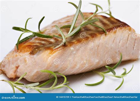 Grilled Fish Salmon Steak Stock Image Image Of Grilled