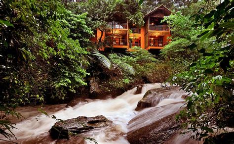 30 Luxury Resorts In Wayanad For Homestays In 2021 Tree House Resort