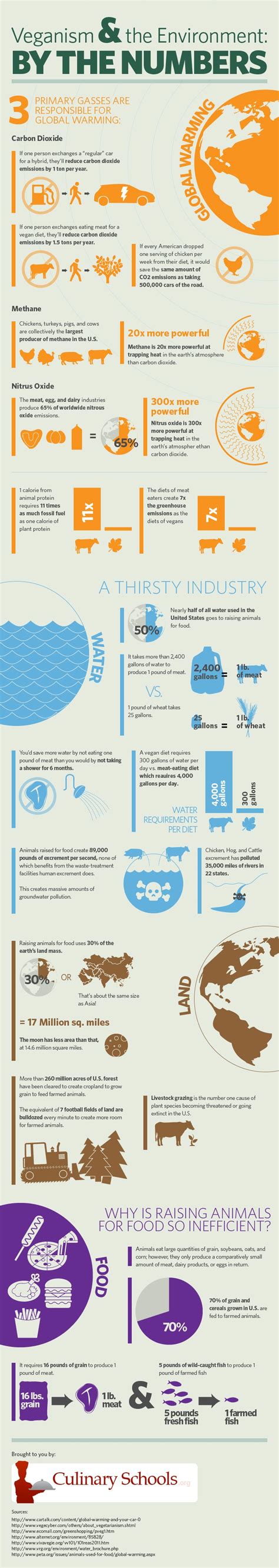 Veganism and the Environment Infographic Shows the Environmental Impact ...