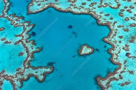 Aerial View Of Hardy Reef Great Barrier Reef Australia Stock Image