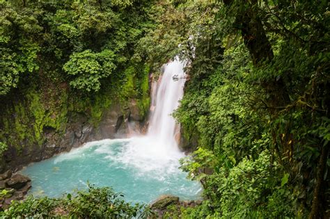 Rio Celeste Rainforest Trip And Sloth Sanctuary Loco Tours