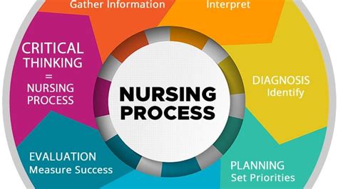 The Nursing Process Everything Next Gen Nclex Rn Test Takers Need To