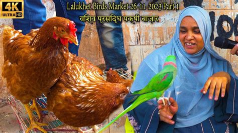 Lalukhet Exotic Hen And Rooster Birds Market Karachi Part