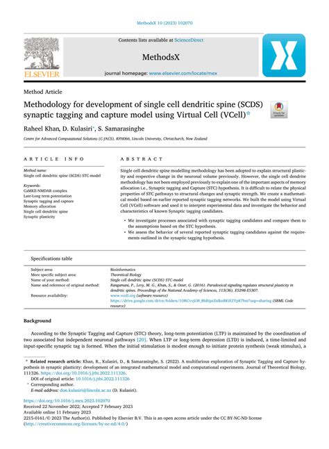 (PDF) Methodology for development of single cell dendritic spine (SCDS ...