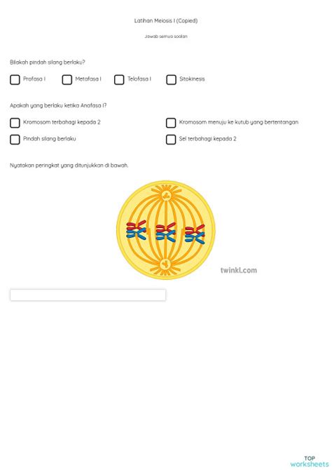 Latihan Meiosis I Copied Interactive Worksheet Topworksheets